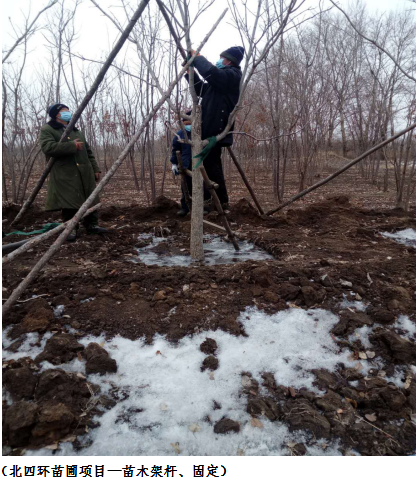 gcgc08黄金城,hjc26.cc黄金城集团