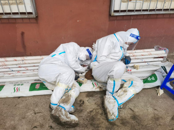 gcgc08黄金城,hjc26.cc黄金城集团