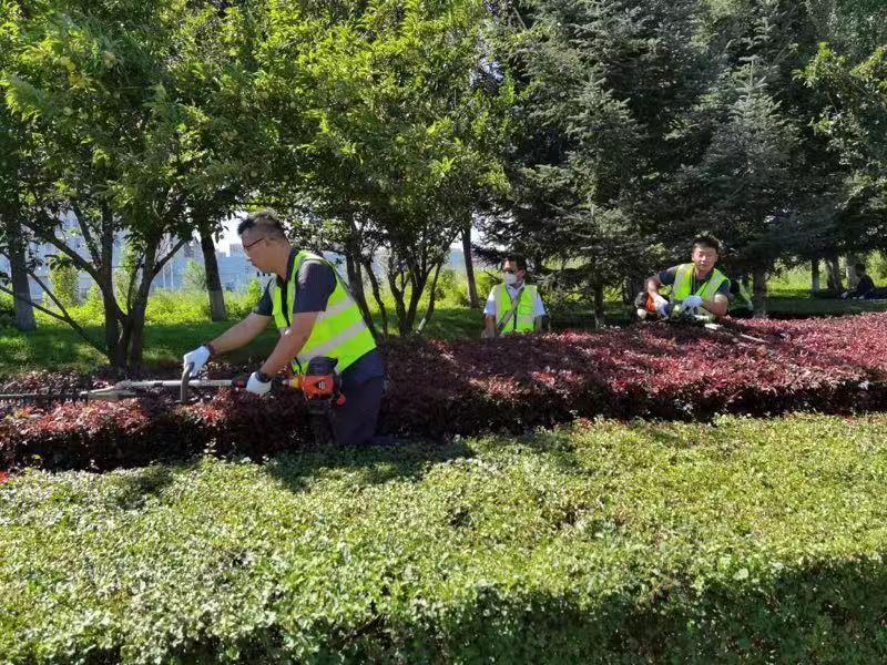 gcgc08黄金城,hjc26.cc黄金城集团