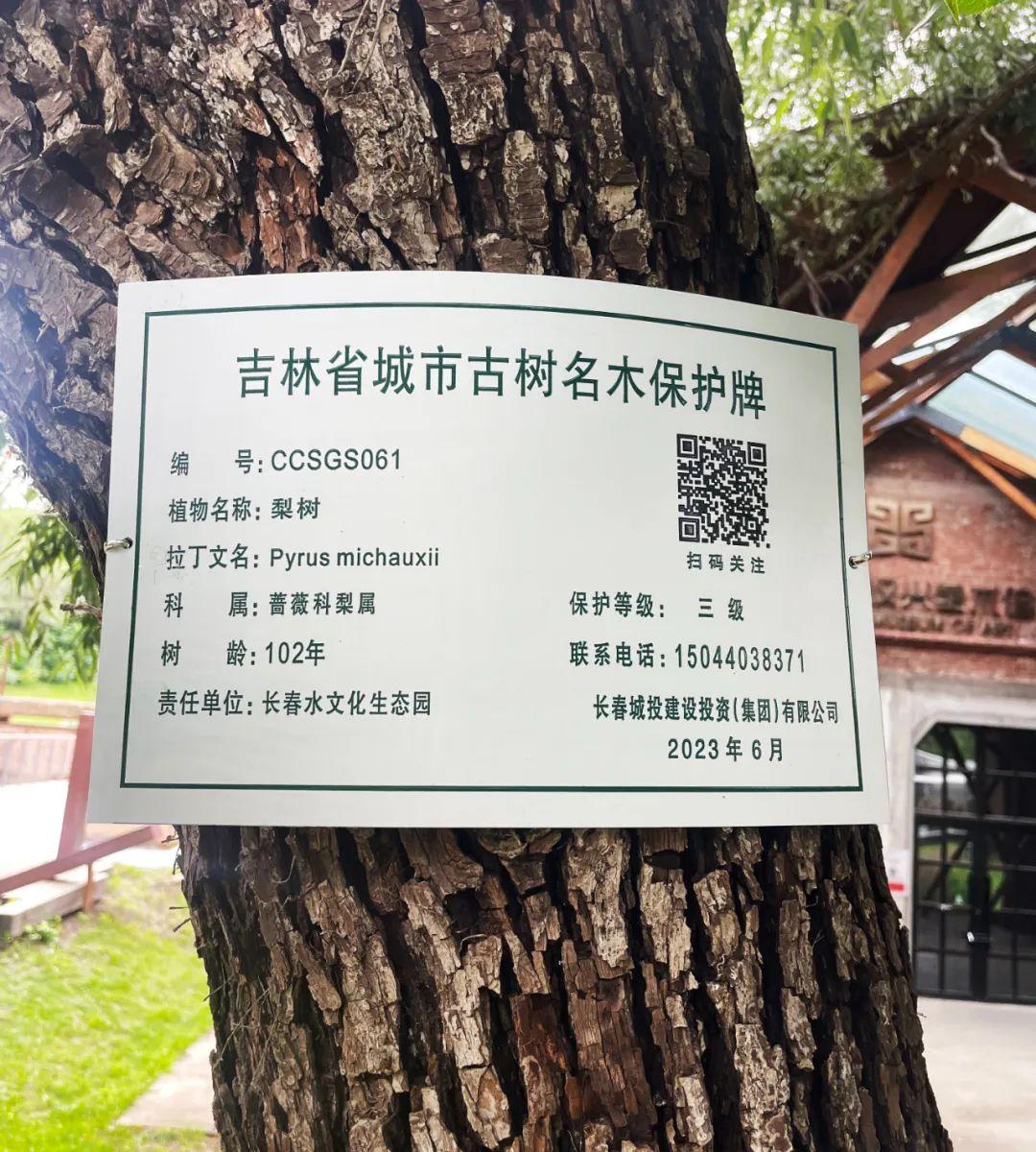 gcgc08黄金城,hjc26.cc黄金城集团