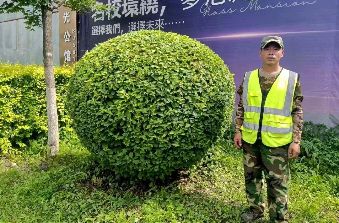 gcgc08黄金城,hjc26.cc黄金城集团