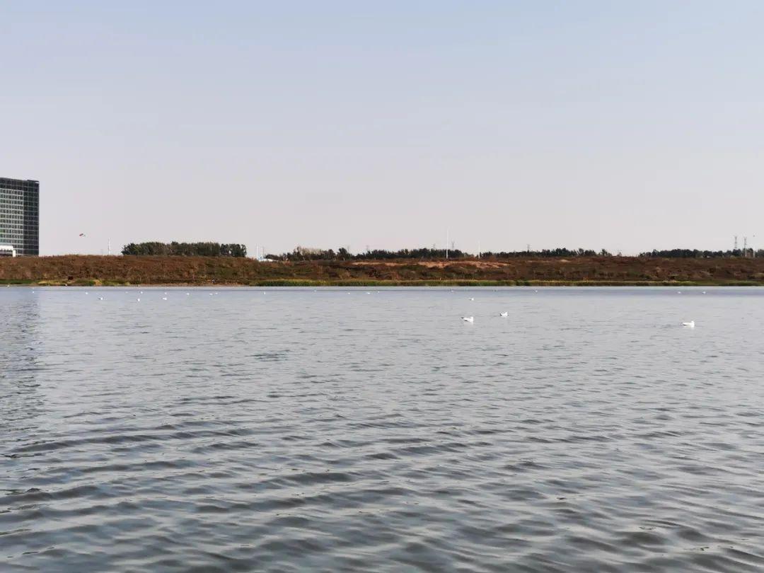 gcgc08黄金城,hjc26.cc黄金城集团